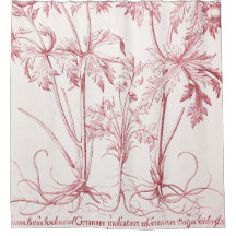 Arte botánico de color rosa