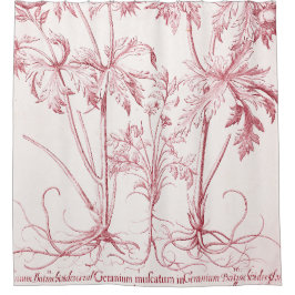 Cortina De Ducha Arte botánico de color rosa