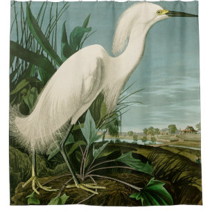 Cortina De Ducha Audubon Snowy Heron White Egret Bird Birding