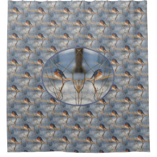 Cortina De Ducha Ave natural de Winter Bluebird
