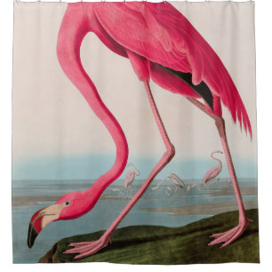 Cortina De Ducha Aves de flamenco norteamericanas impresas Audubon