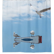 Aves de las gaviotas que vuelan, cielo azul