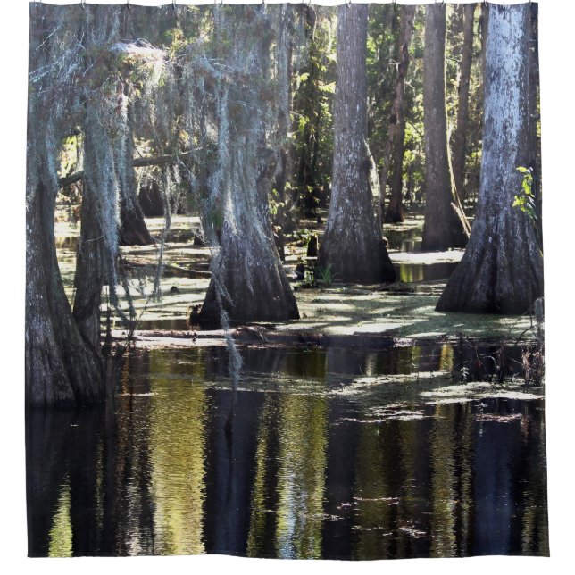 Cortina De Ducha Bald Cypress Trees (Anverso)