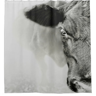 Cortina De Ducha Baldie negro