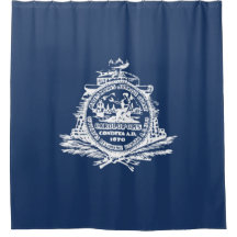 Bandera de Charleston (Carolina del Sur)