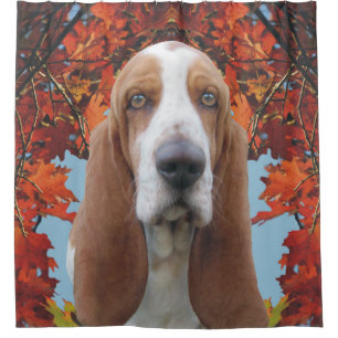 Cortina De Ducha Basset Hound