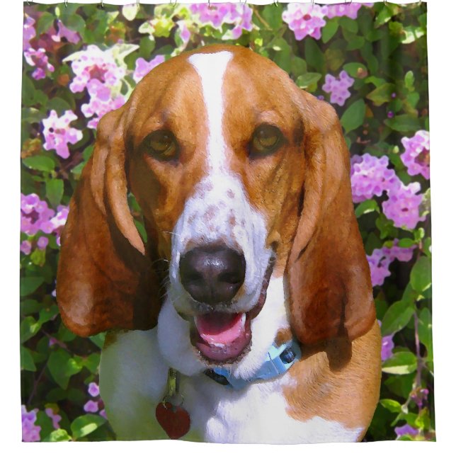 Cortina De Ducha Basset Hound feliz (Anverso)