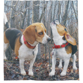 Cortina De Ducha Beagles en las maderas