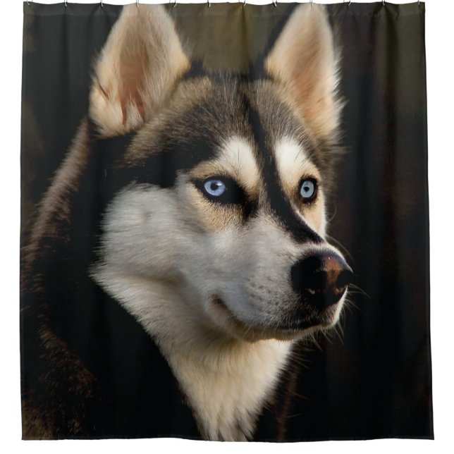 Cortina De Ducha Beautiful Husky Throw Pillow (Anverso)
