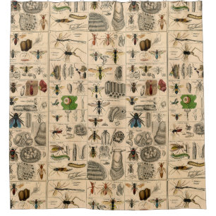 Cortina De Ducha Bee Insect Bug Wasp Abejas de Historia Natural