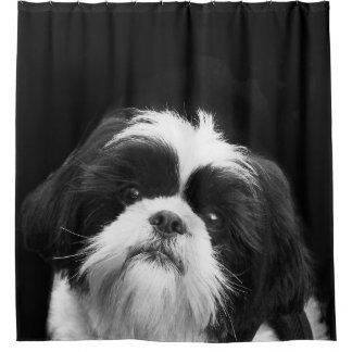 Cortina de ducha blanco y negro del perro de Shih