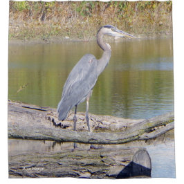 Cortina de ducha Blue Heron