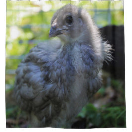 Cortina De Ducha Bluebell