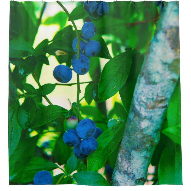 Cortina De Ducha Bonitos Vegetales (Anverso)