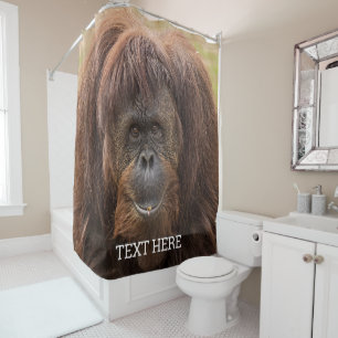 Cortina De Ducha Borneo Orangutan Beautiful Photography