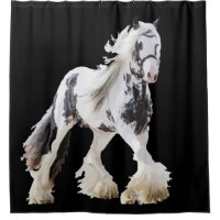 Borrador de caballos Gypsy Mare Stallion