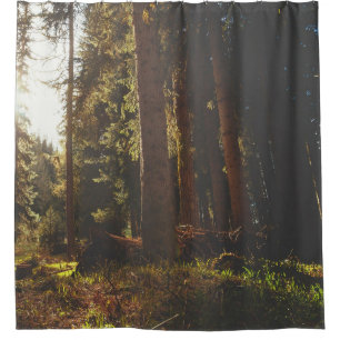 Cortina De Ducha Bosque