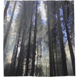 Cortina De Ducha Bosque De Pino Con Naturaleza Sunshine