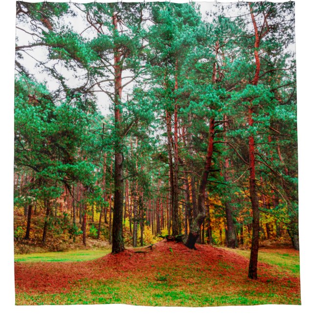 Cortina De Ducha Bosque mixto de otoño (Anverso)