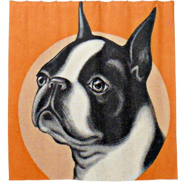 Cortina De Ducha Boston terrier (Anverso)