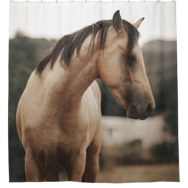 CORTINA DE DUCHA BROWN HORSE (Anverso)
