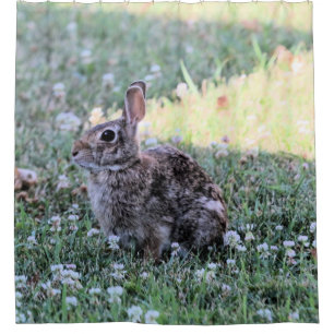 Cortina De Ducha Bunny