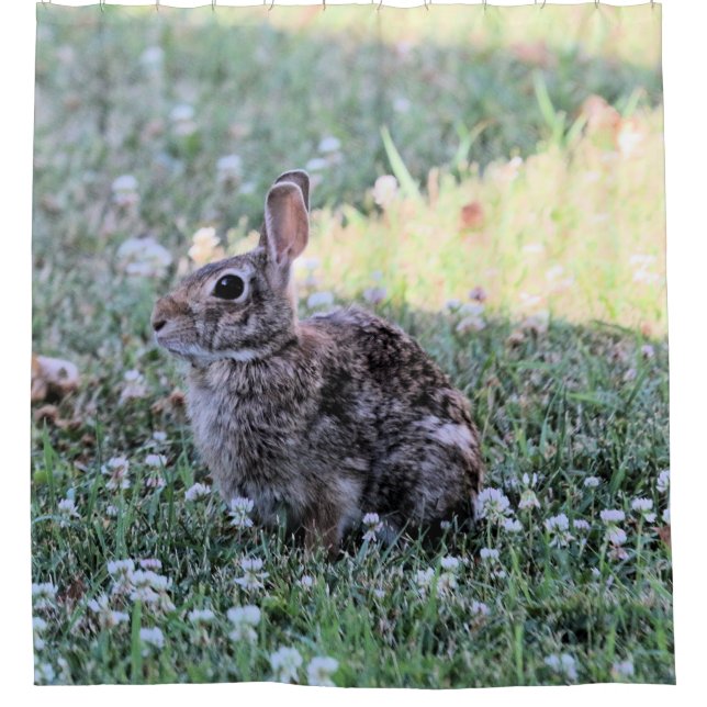 Cortina De Ducha Bunny (Anverso)