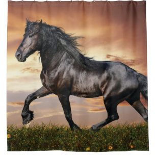 Cortina De Ducha Caballo Negro Hermoso