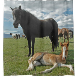 Cortina De Ducha Caballos