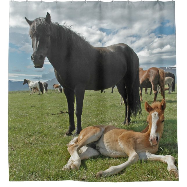 Cortina De Ducha Caballos (Anverso)