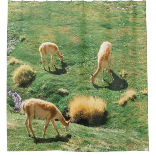 CORTINA DE DUCHA CABALLOS BLANCOS Y MARRONES SOBRE CAMPO VERDE