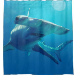 Cortina De Ducha Cabeza de martillo