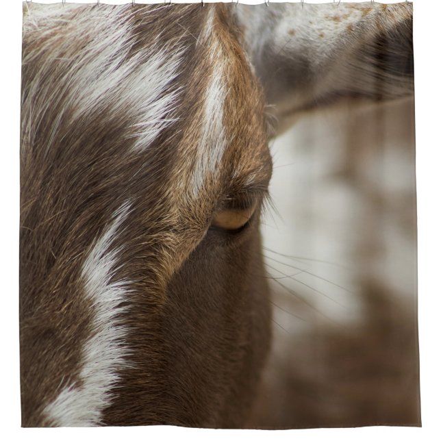 Cortina De Ducha Cabra (Anverso)