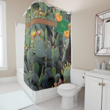 Cactus anaranjado personalizado 2 del higo chumbo