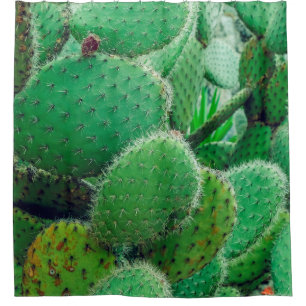 Cortina De Ducha Cactus, cactus de pera espinosa, espinas de cactus
