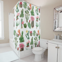 Cactus de acuarela colorida y flores suculentas