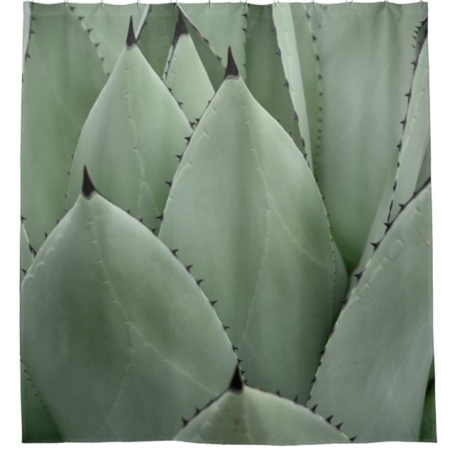 Cortina De Ducha Cactus verdes (Anverso)