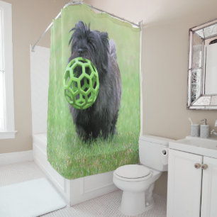 Cortina De Ducha Cairn terrier