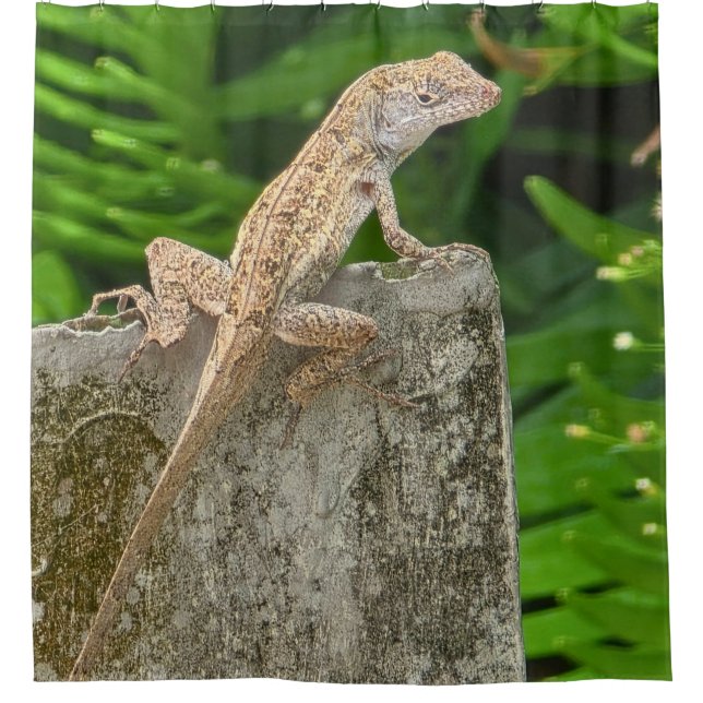 Cortina De Ducha Camouflage Master (Anverso)