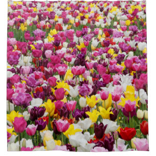 Cortina De Ducha campo lleno de tulipanes