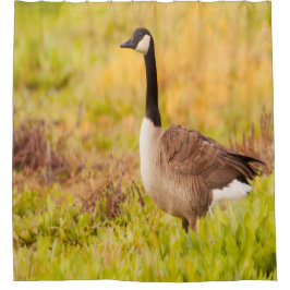 Cortina De Ducha Canadá Ganso en un campo colorido