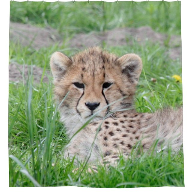 Cortina De Ducha Cheetah 002 (Anverso)