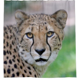Cortina De Ducha Cheetah 009