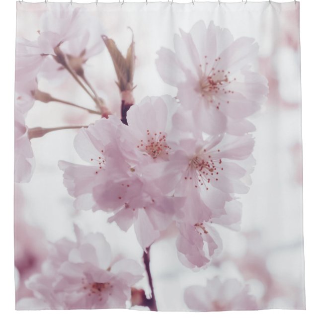 CORTINA DE DUCHA CHERRY BLOSSOMS FLOWERS (Anverso)