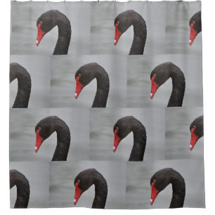 Cortina De Ducha Cisne negro