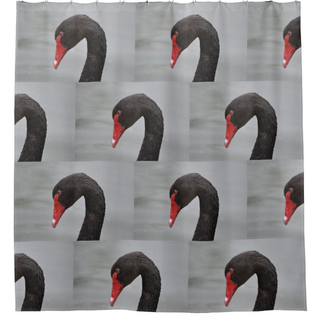Cortina De Ducha Cisne negro (Anverso)