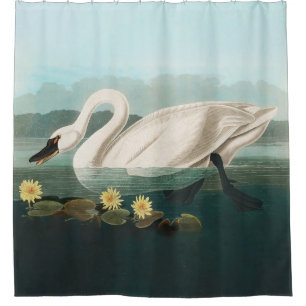 Cortina De Ducha cisnes de agua blanca de cisne audubon