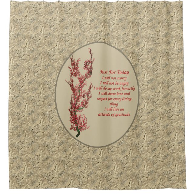 Cortina De Ducha Cita inspiradora sólo para hoy (Anverso)