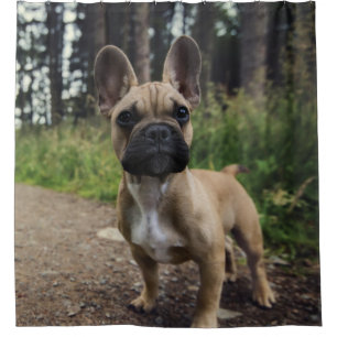 Cortina De Ducha Cojín decorativo Bulldog francés