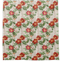 Cortina De Ducha Colección de Ilustraciones de patrimonio de Rosas 